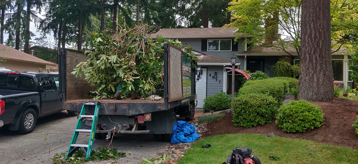 Truck with fallen trees — Port Orchard, WA — Clean Time Landscaping