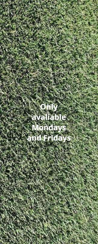 Cavalier Zoysia St Augustine Bermuda