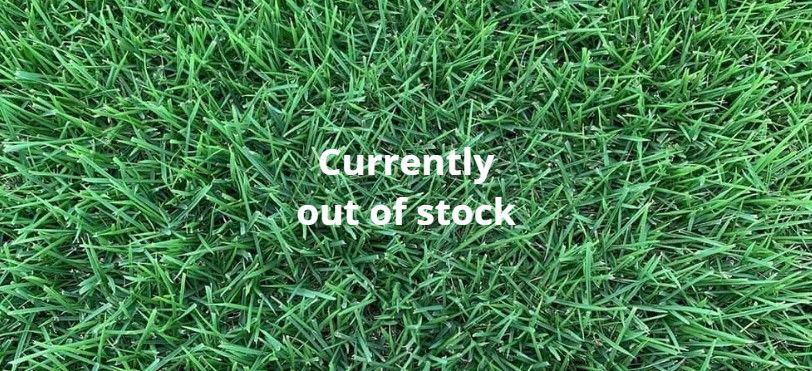 Innovation Zoysia Bermuda St Augustine