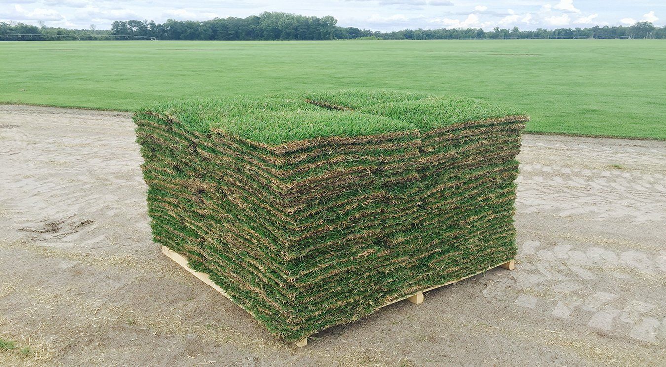 Pallet of Sod 