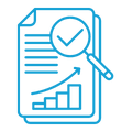 Web Audit Services