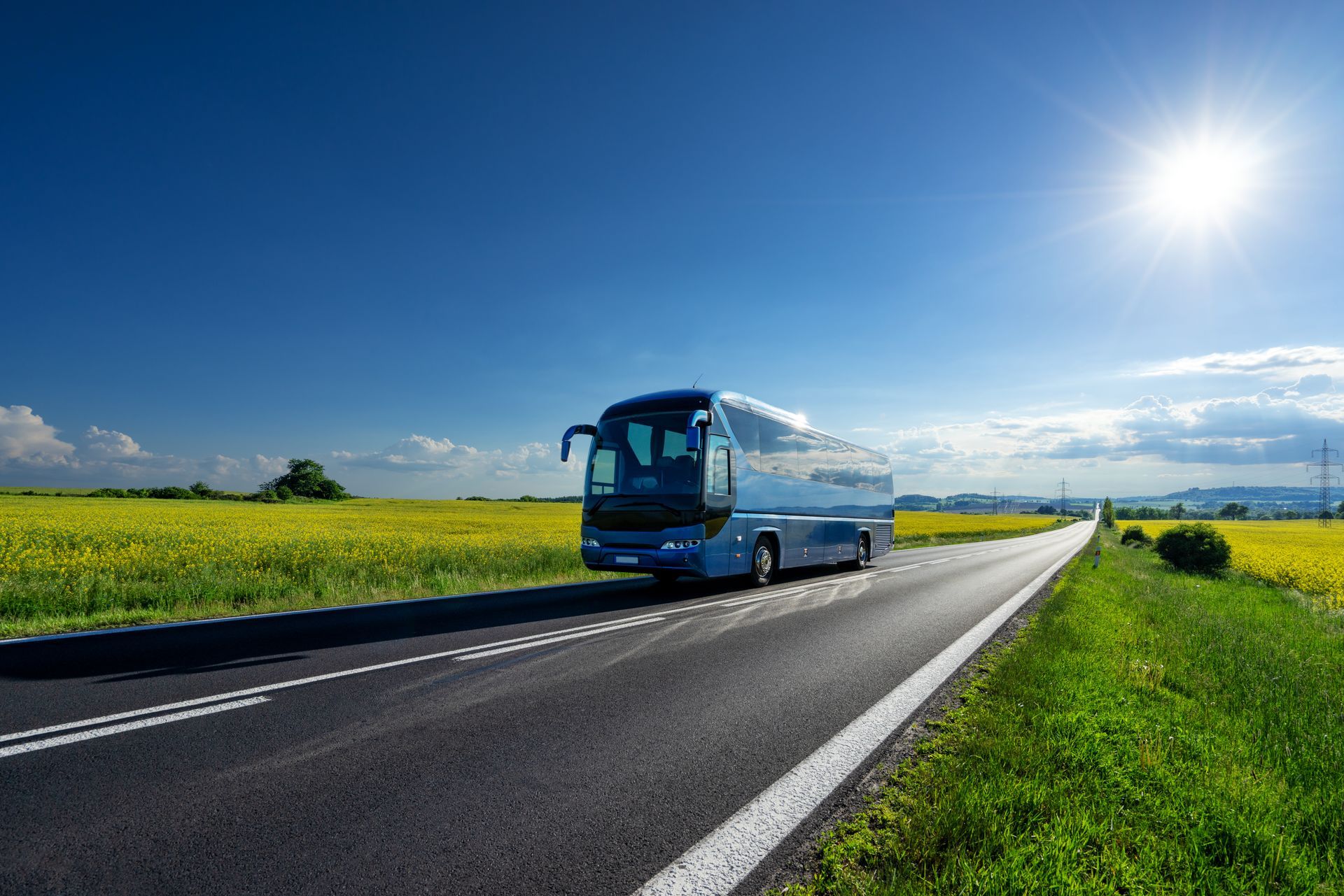 A blue coach tour driving on the asphalt road between the flowering rapeseed fields under the sun.