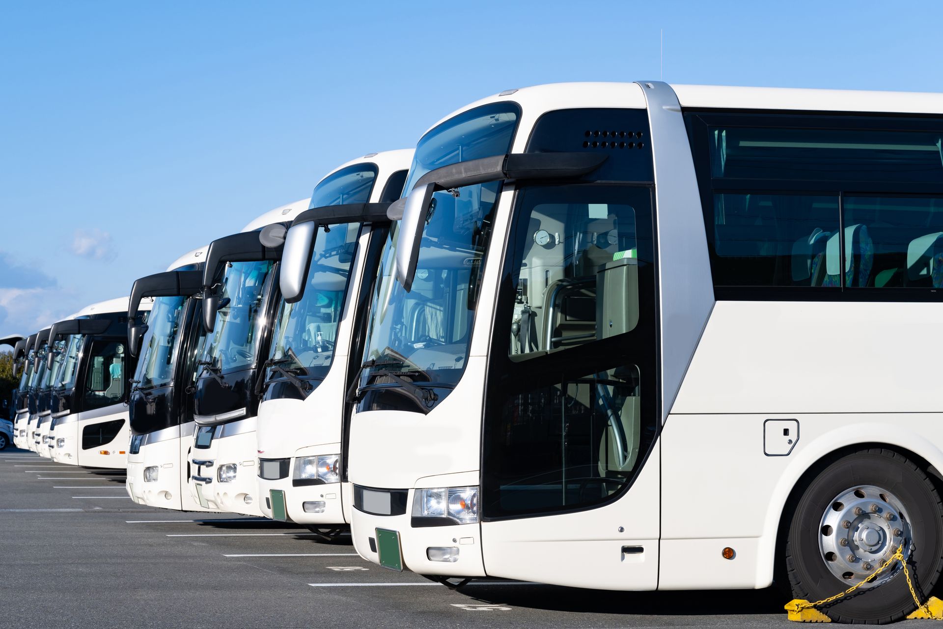 A row of white buses parked neatly in a parking lot under clear blue skies.