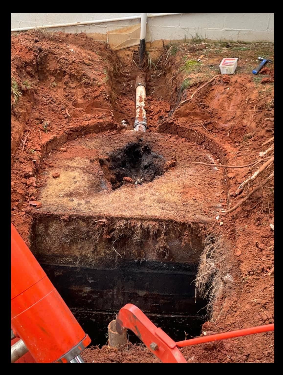 we encountered a chamber so overrun with roots