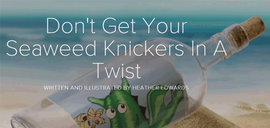 Don't Get Your Seaweed Knickers In A Twist Picture Presentation Heather Edwards