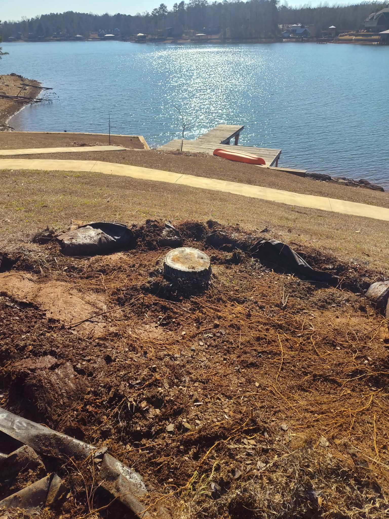 Lakeside view with a wooden dock, glistening water, and a tree stump in the foreground.
