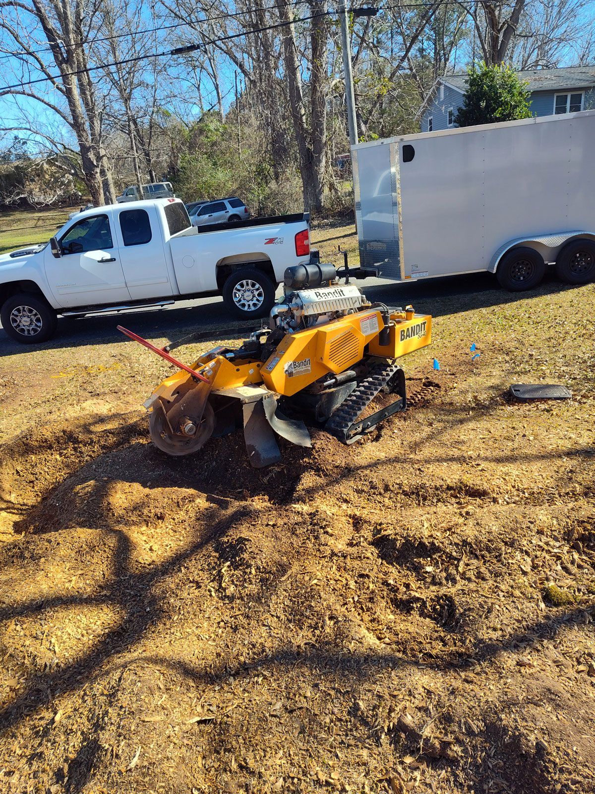 Yellow stump grinder on tracks grinding a tree stump in a yard, with a white truck and trailer in background.