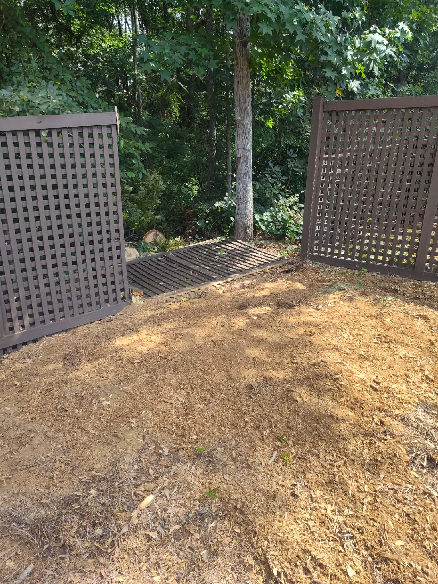 Two brown lattice fences frame a wood-chip ground area with a tree and foliage in the background.