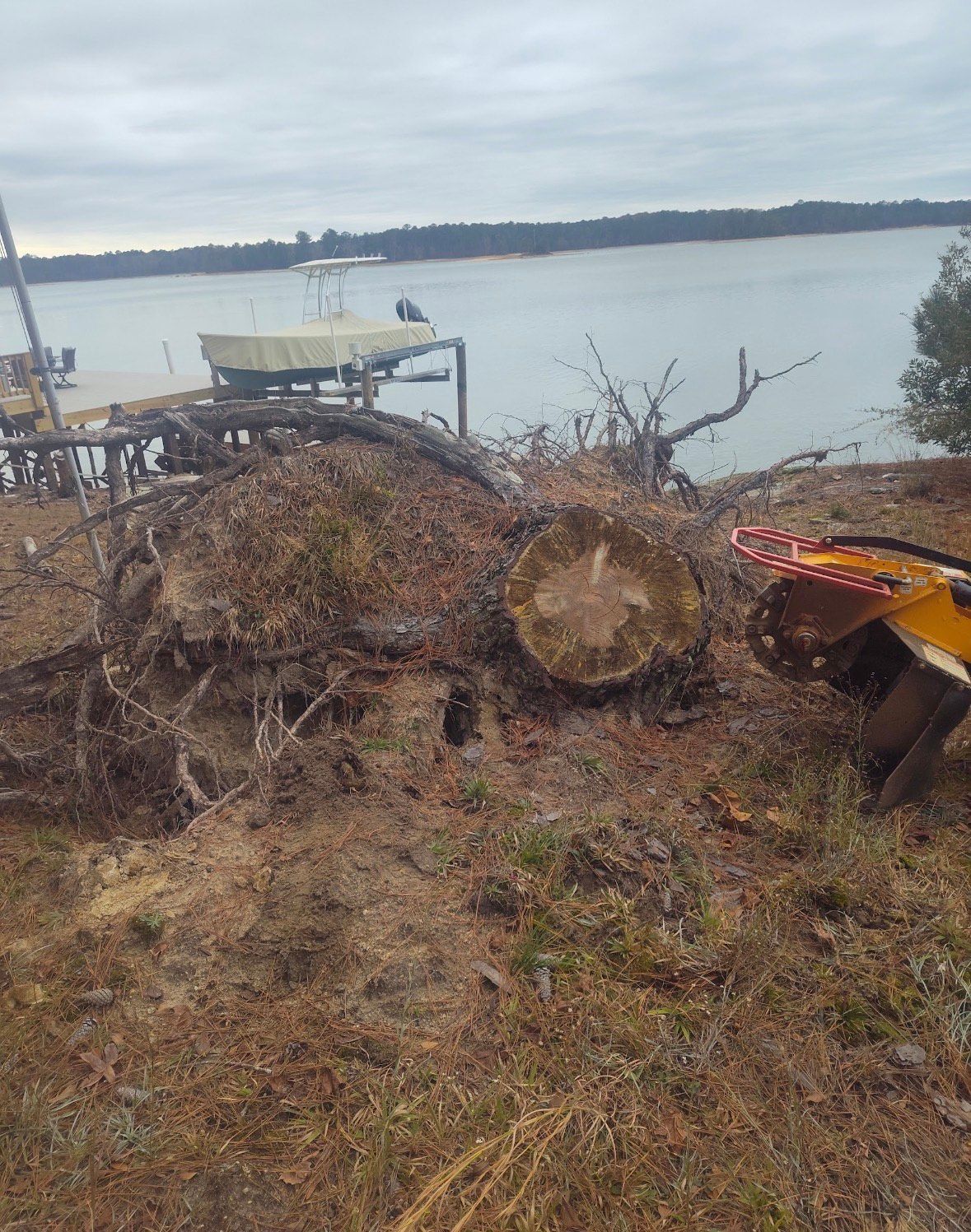Stump of cut tree near water's edge, debris, dock in background, cloudy day.