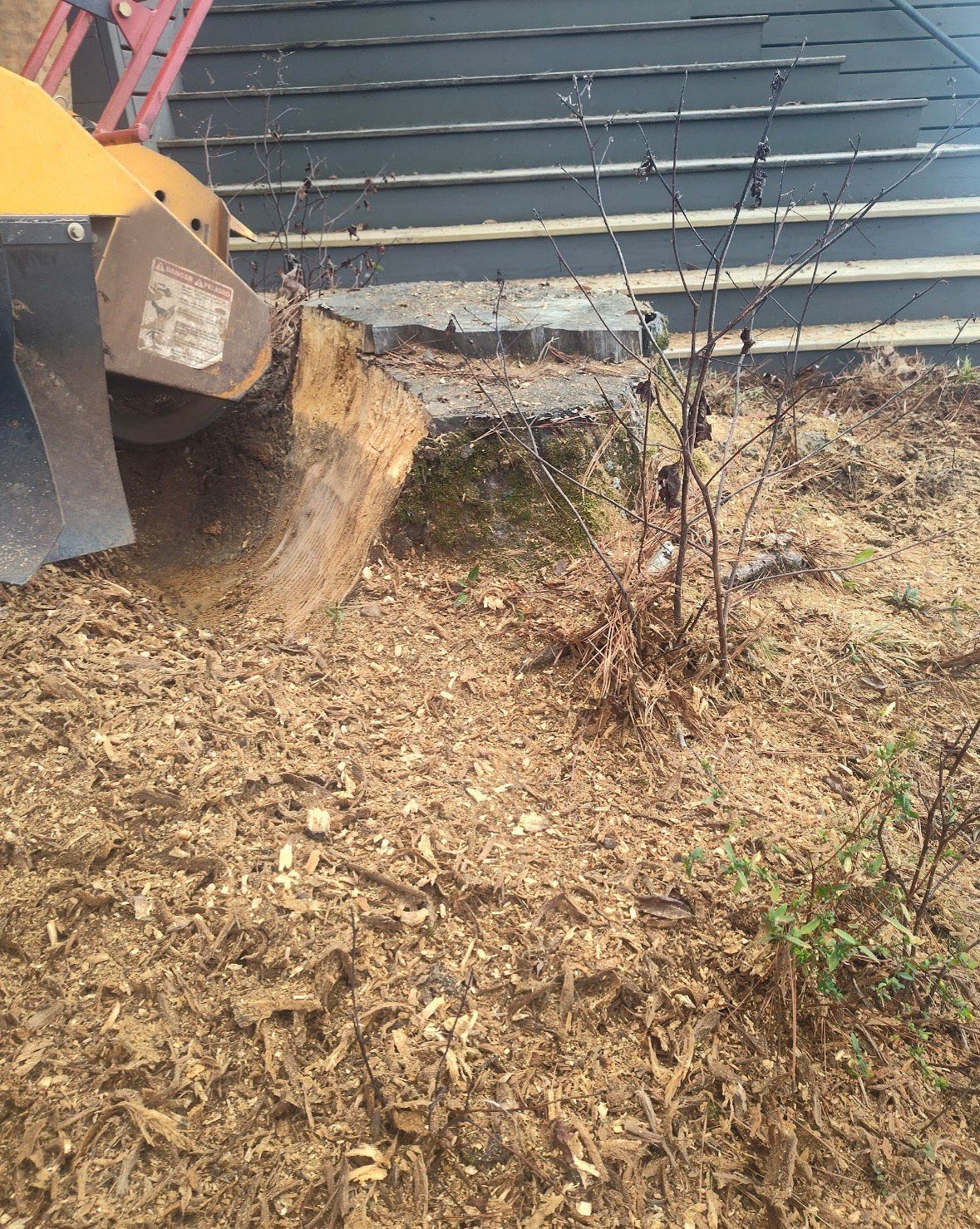 A stump grinder mulches a tree stump, creating a pile of wood chips next to a dark-shingled building.