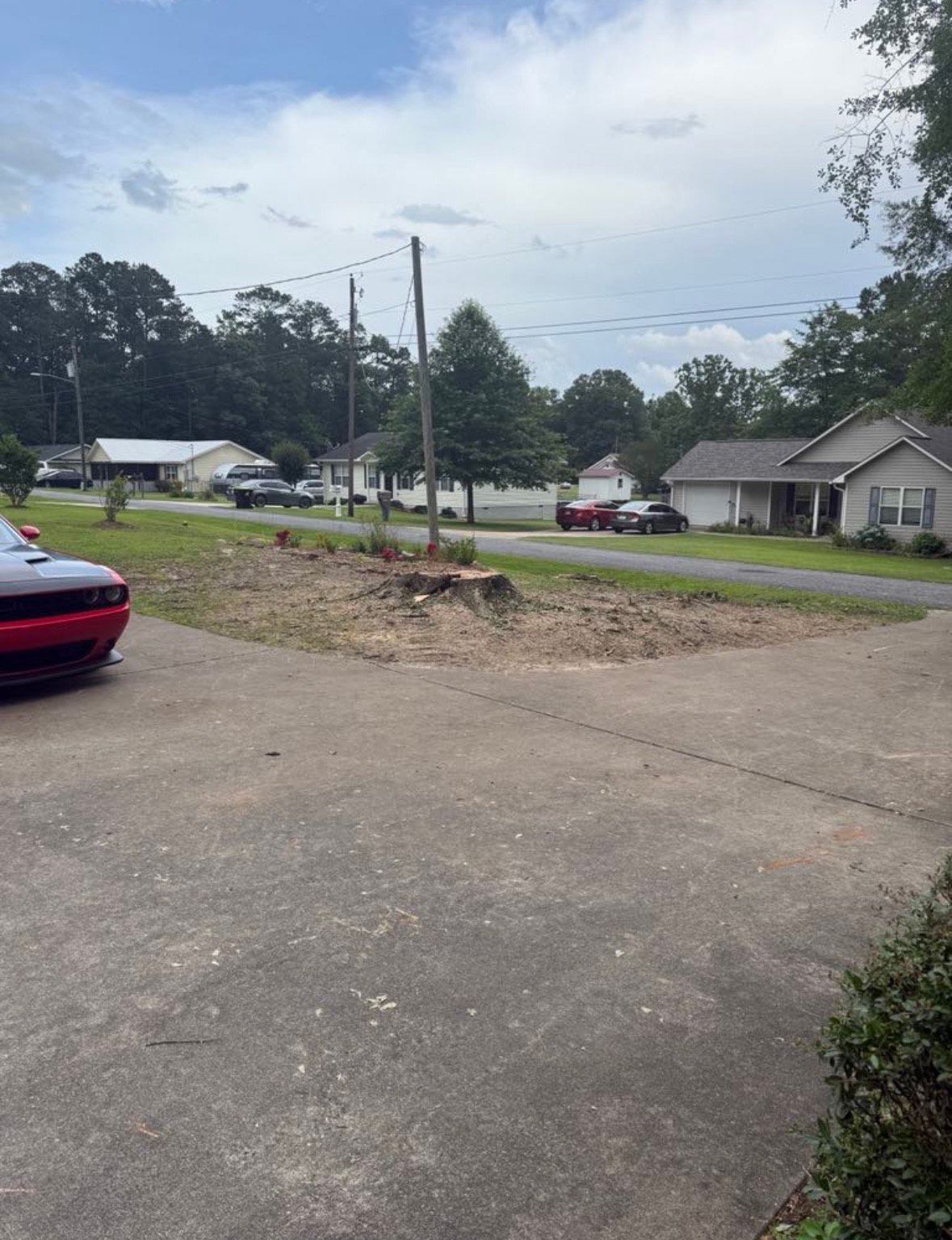 A tree stump in a yard with a red car on the left and houses in the background. Overcast sky.