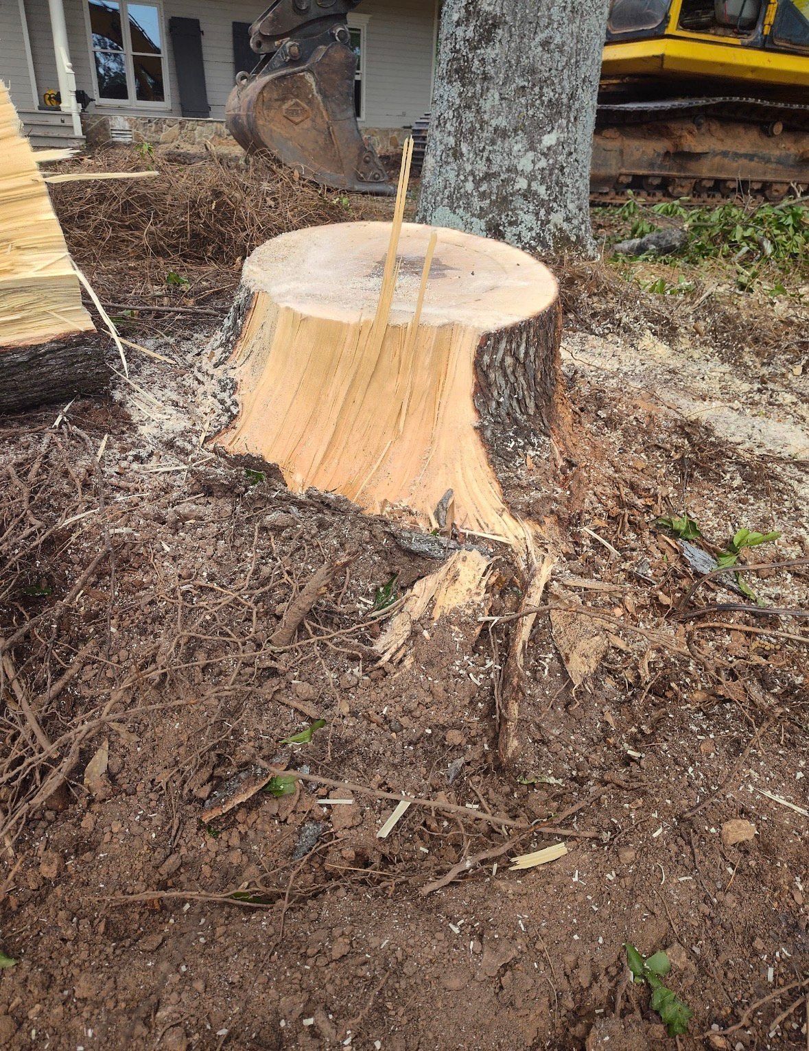 Tree stump with sawdust, dirt, and construction equipment in the background.
