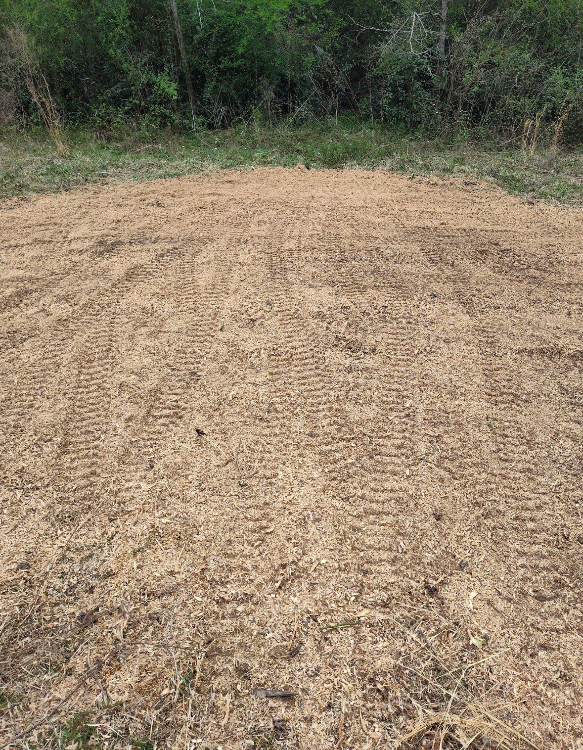 A cleared area covered with wood chips, with a tree line in the background.