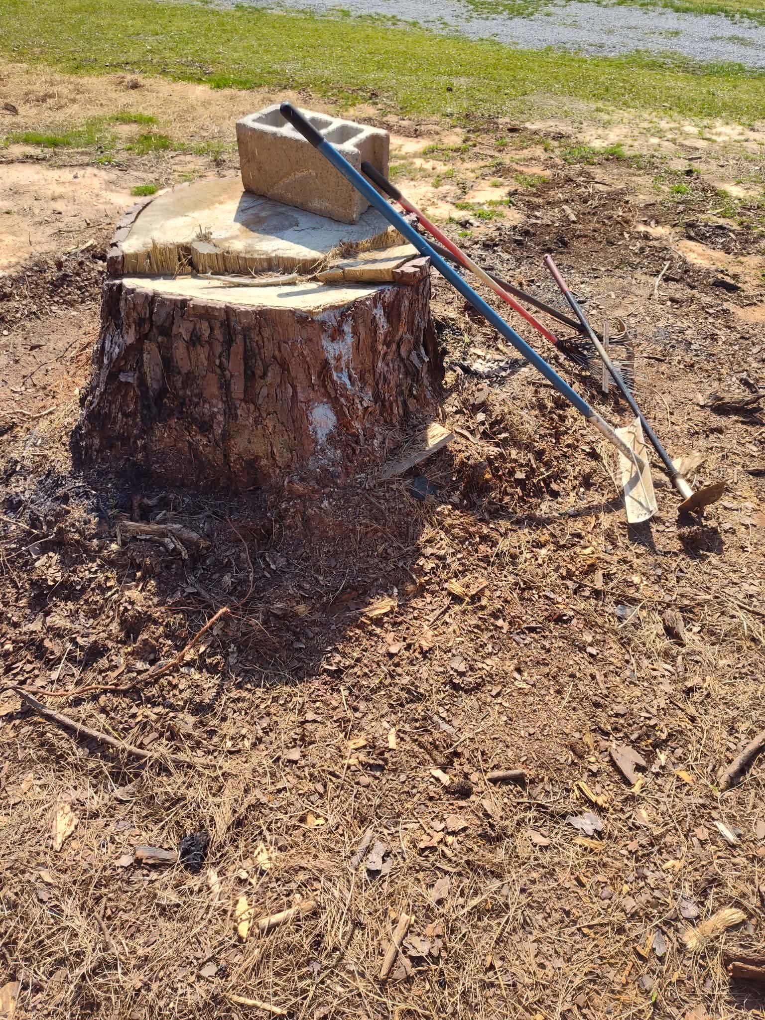Tree stump with tools and brick on top, surrounded by wood chips.