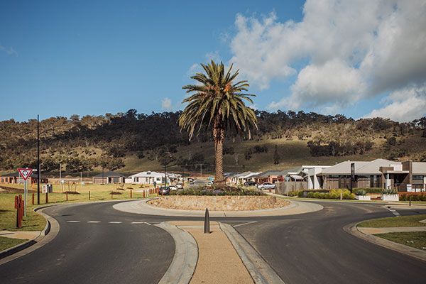 A palm tree is in the middle of a roundabout in a residential area.