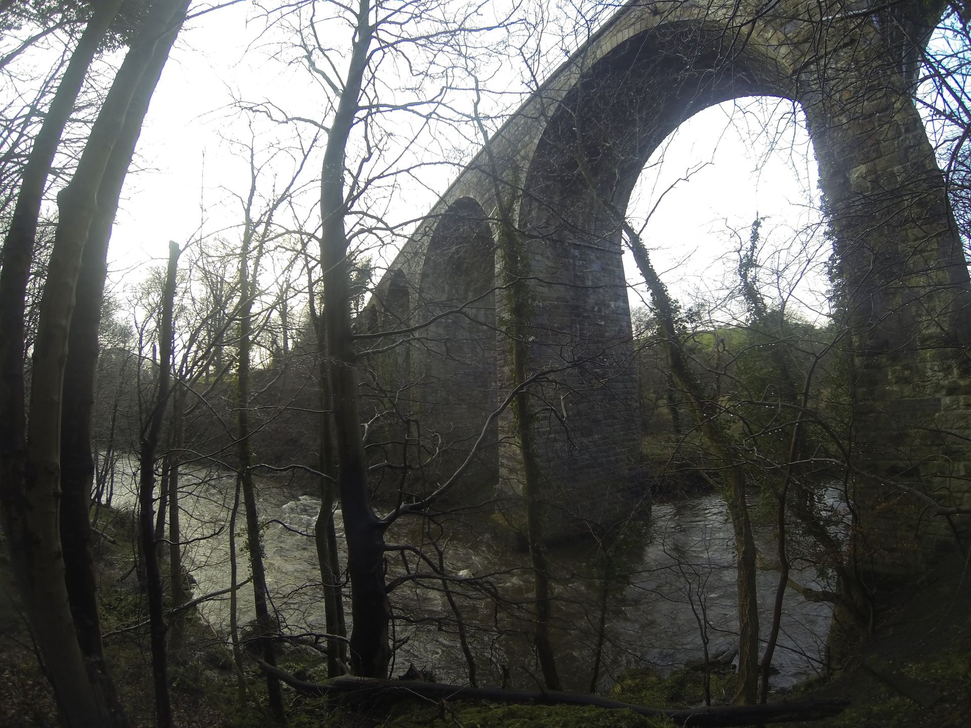 Inspection, Bridge, Rope Access, IRATA