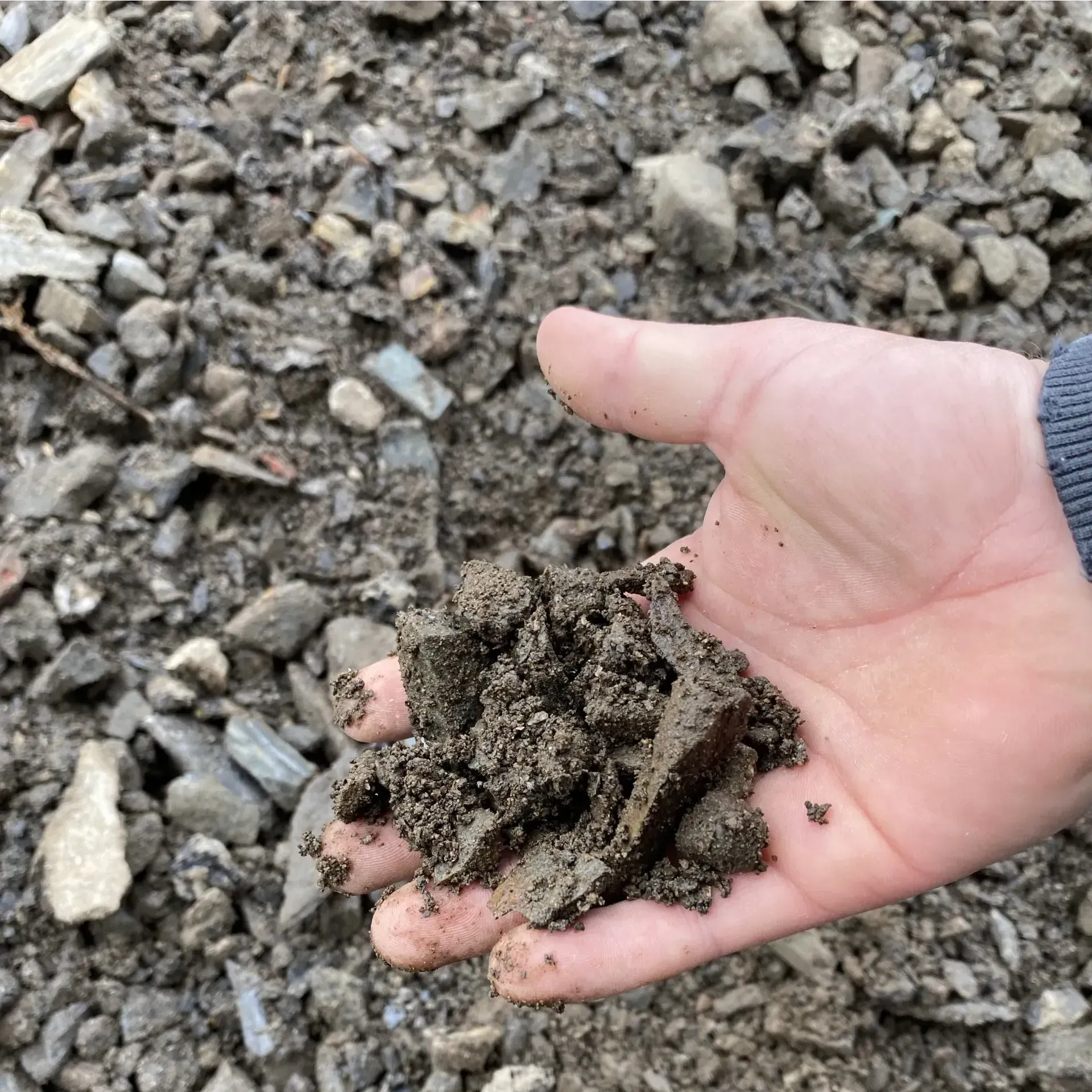 A person is holding a pile of dirt in their hand.