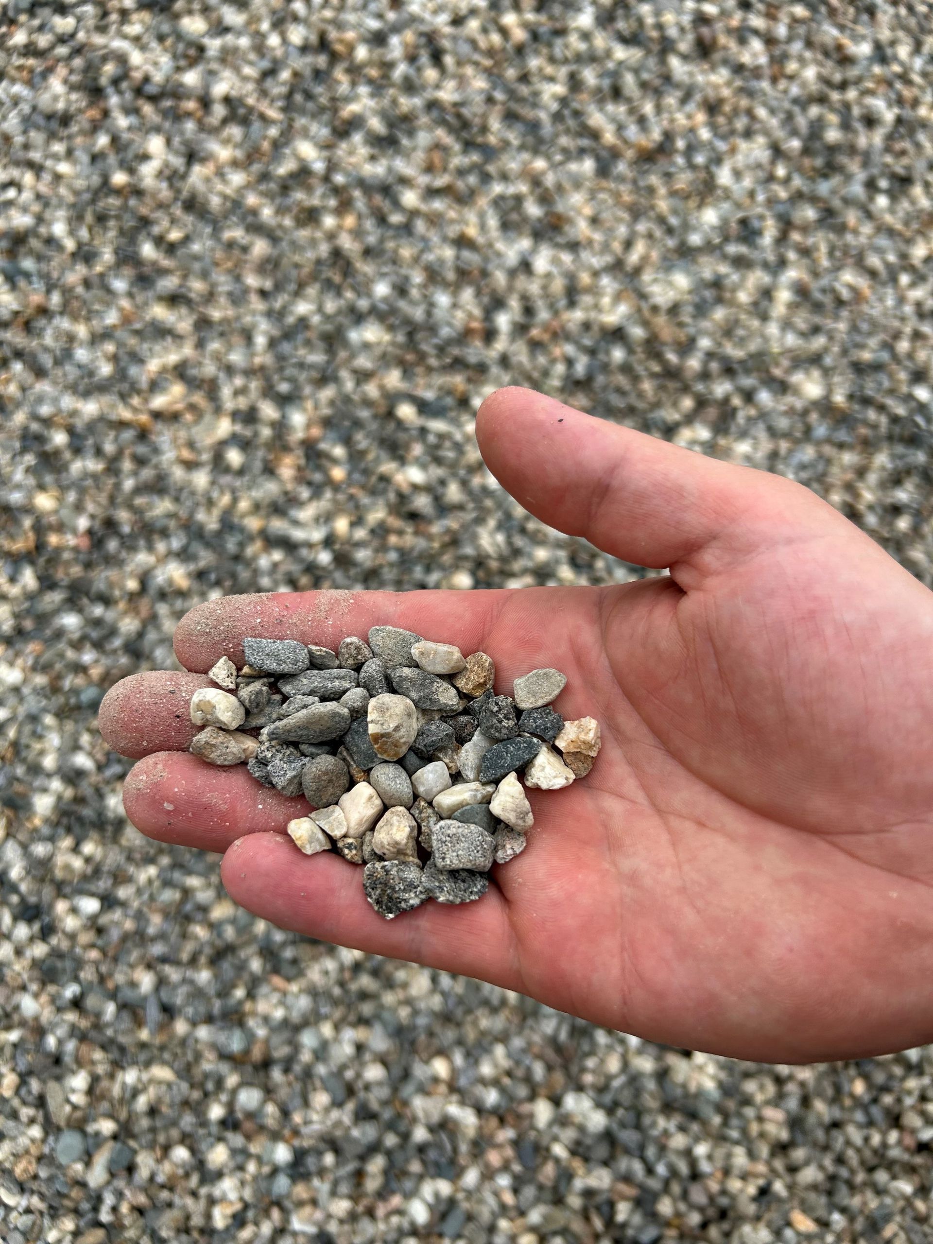 Multi-Colored Pea Stone