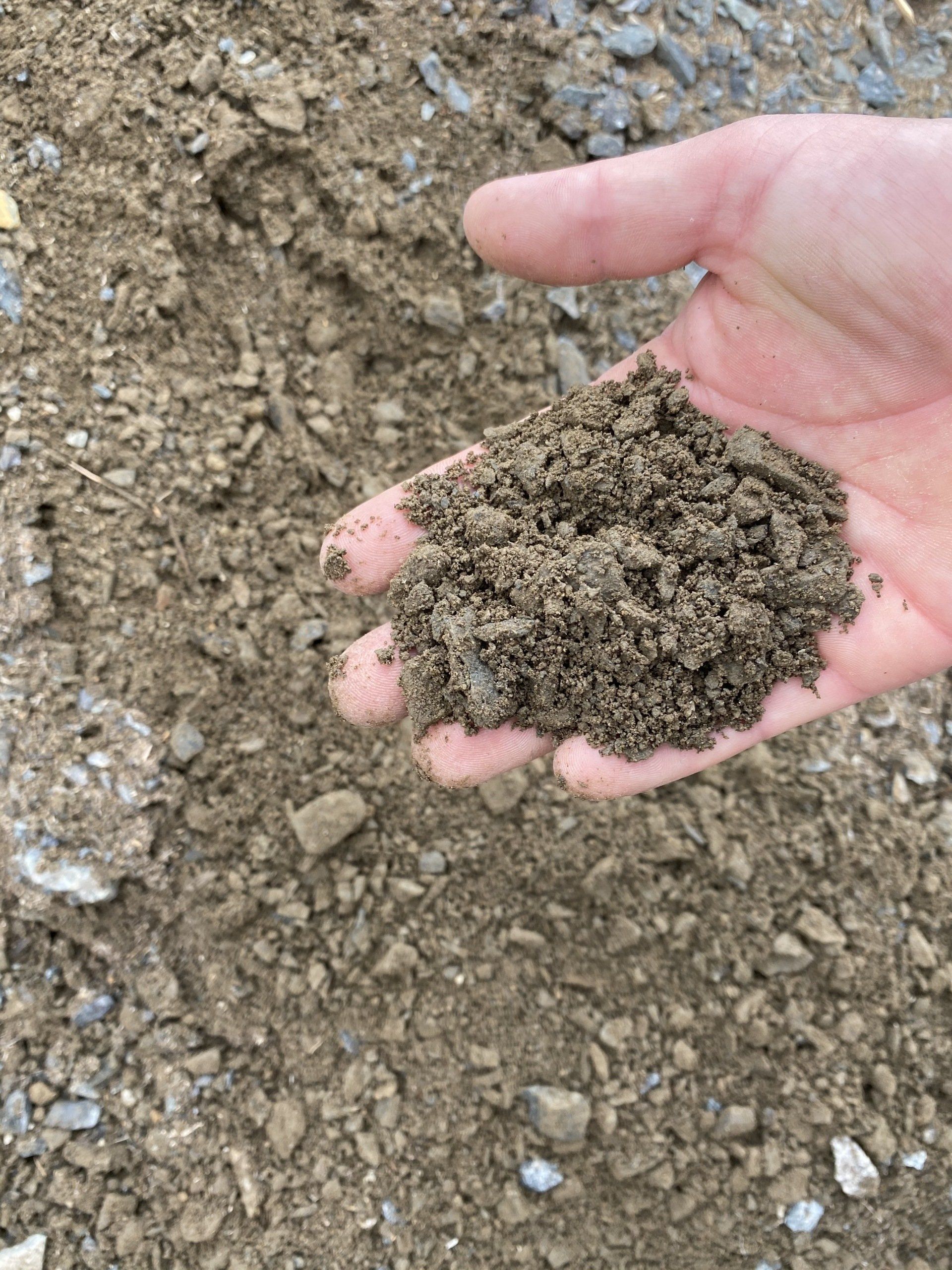 Stone Dust