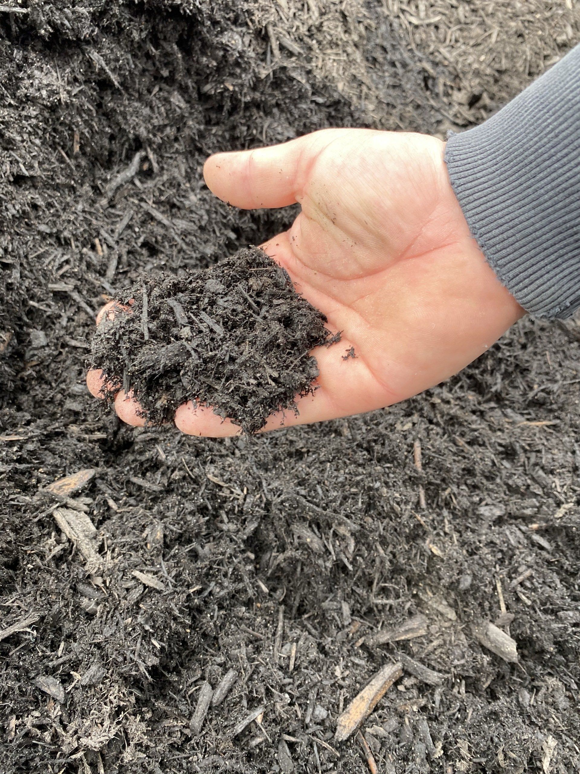 Bark Mulch