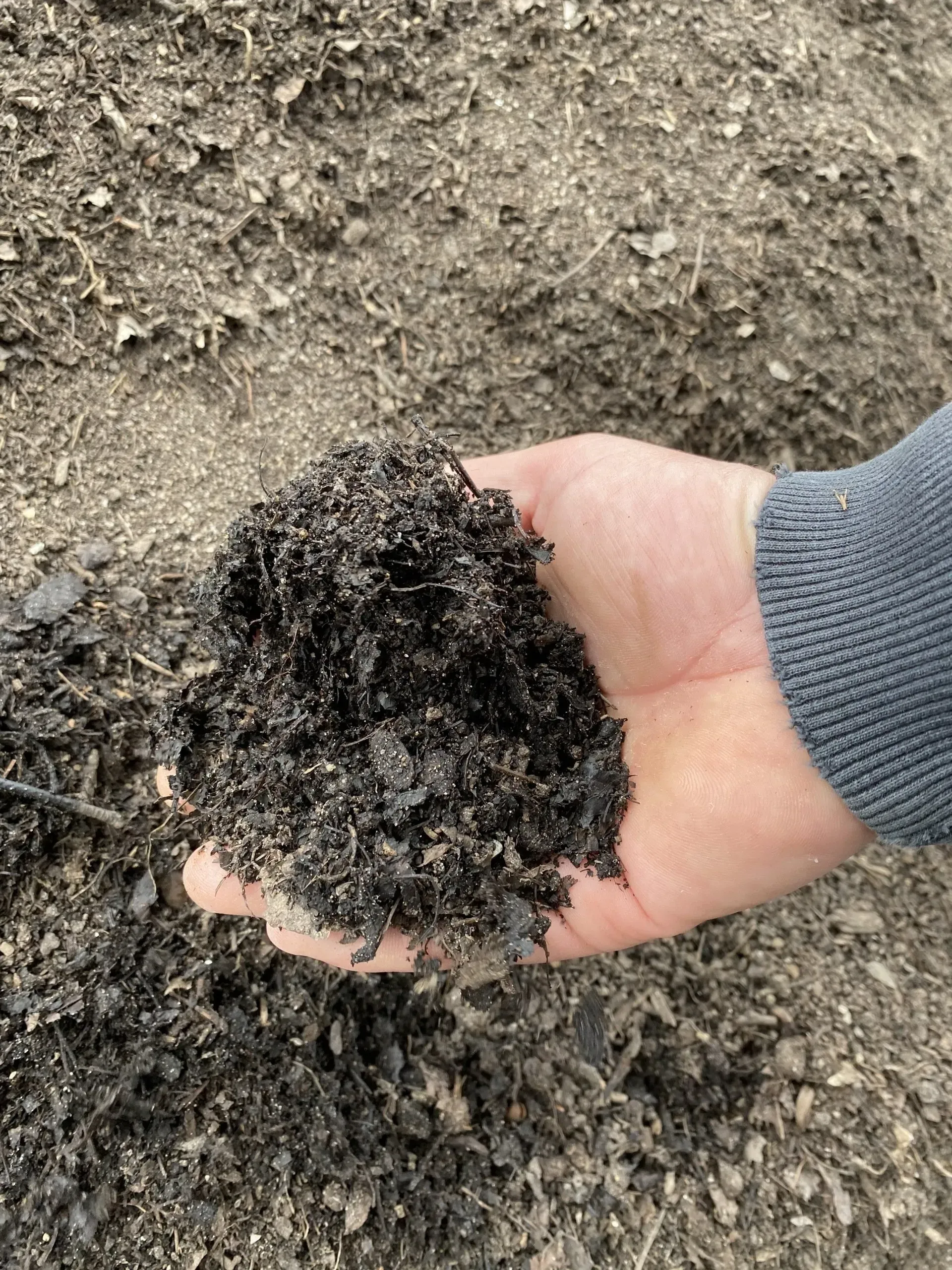 Compost