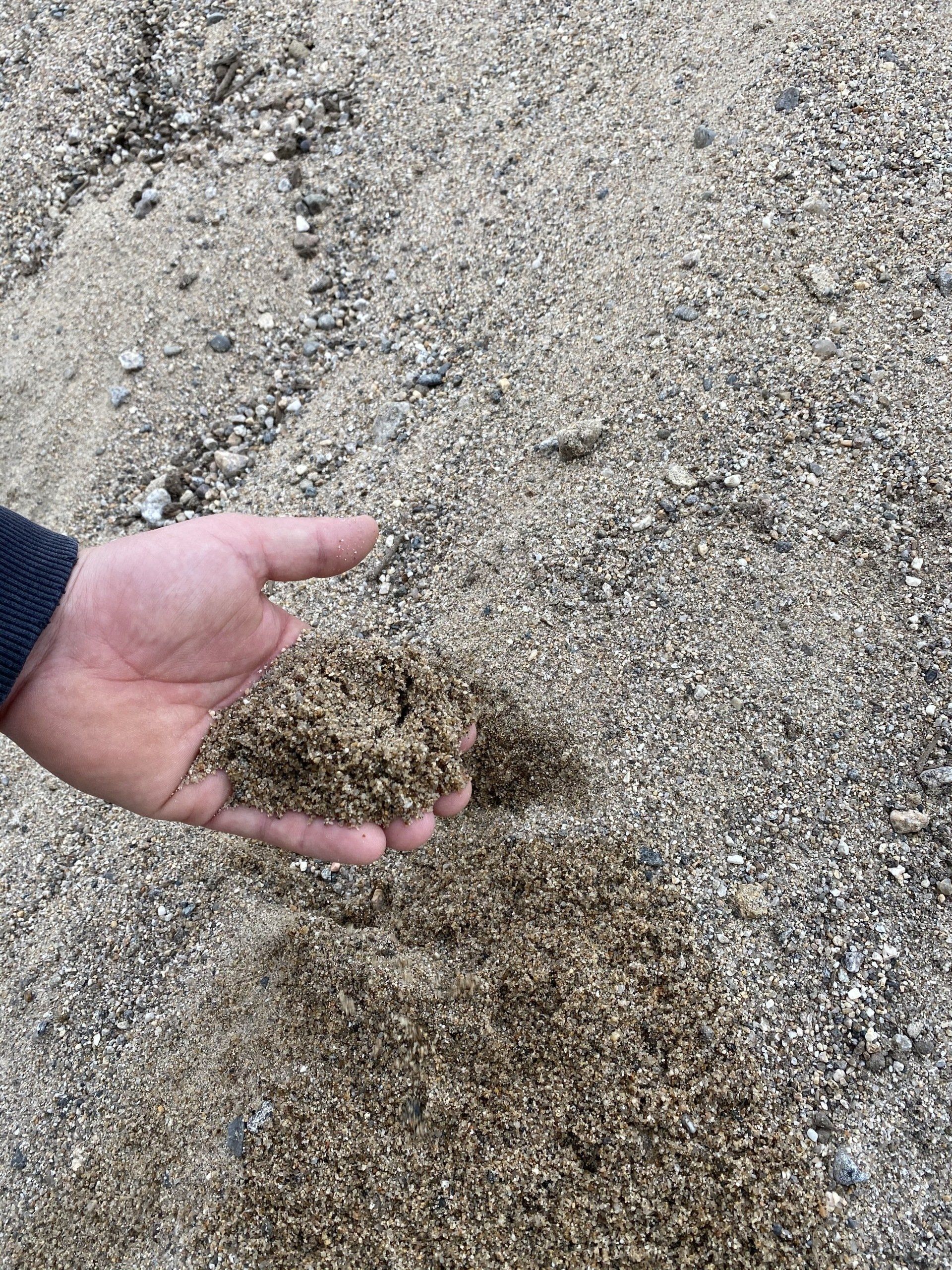 Septic (Coarse) Sand