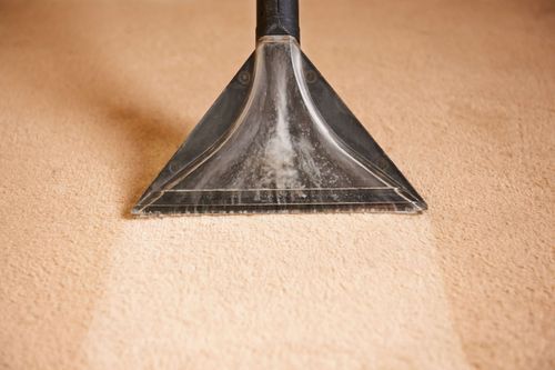 Carpet Cleaning Plover FL
