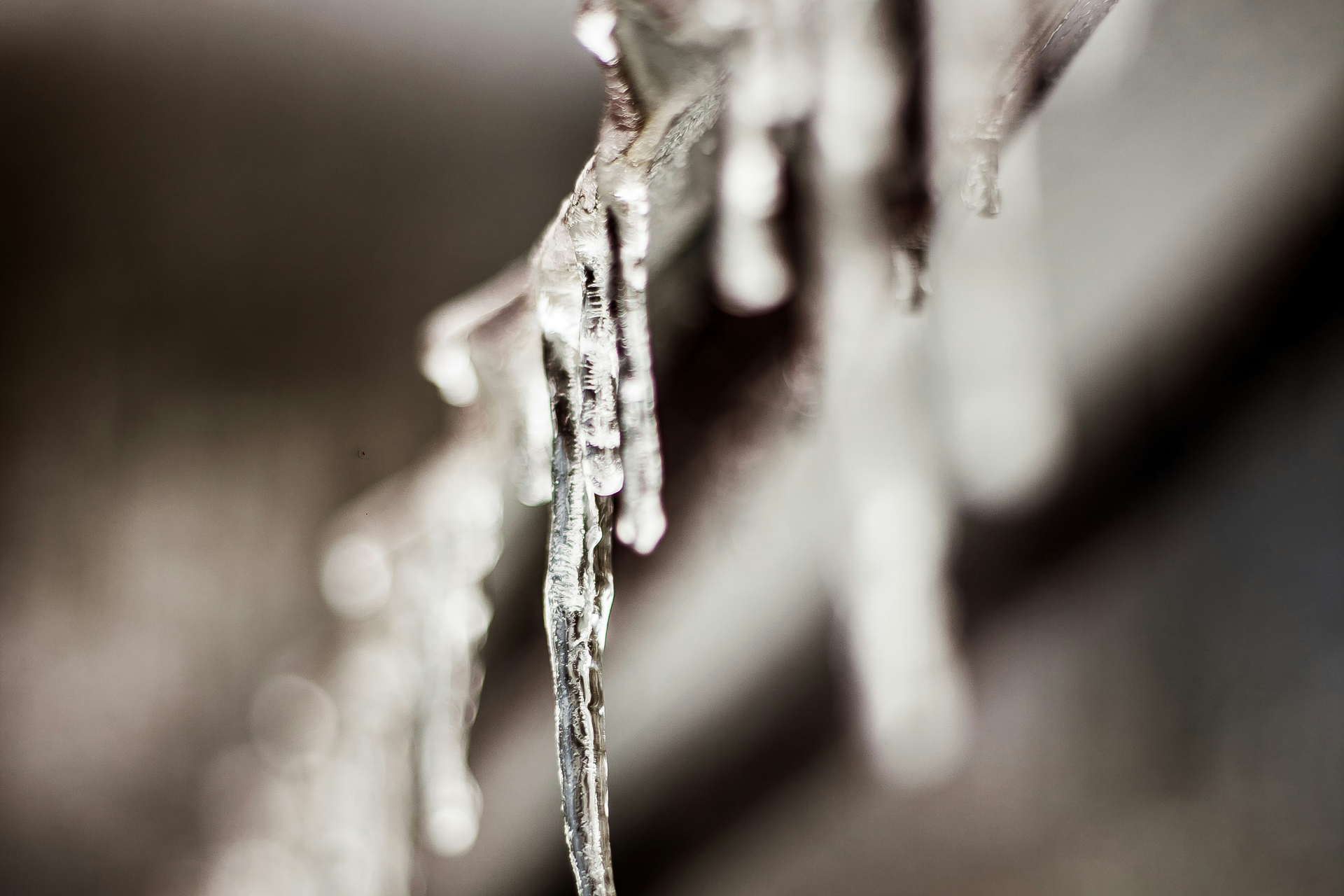 Ice Dam on a Central Wisconsin Roof