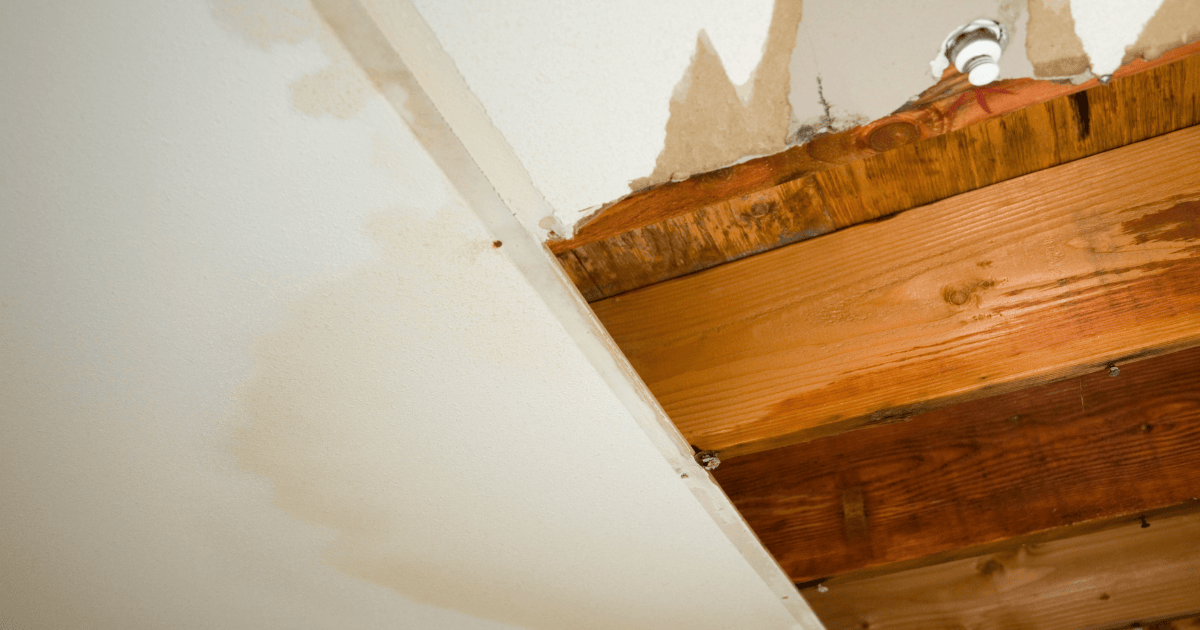 The Benefits of a Quick Response to Emergency Water Damage