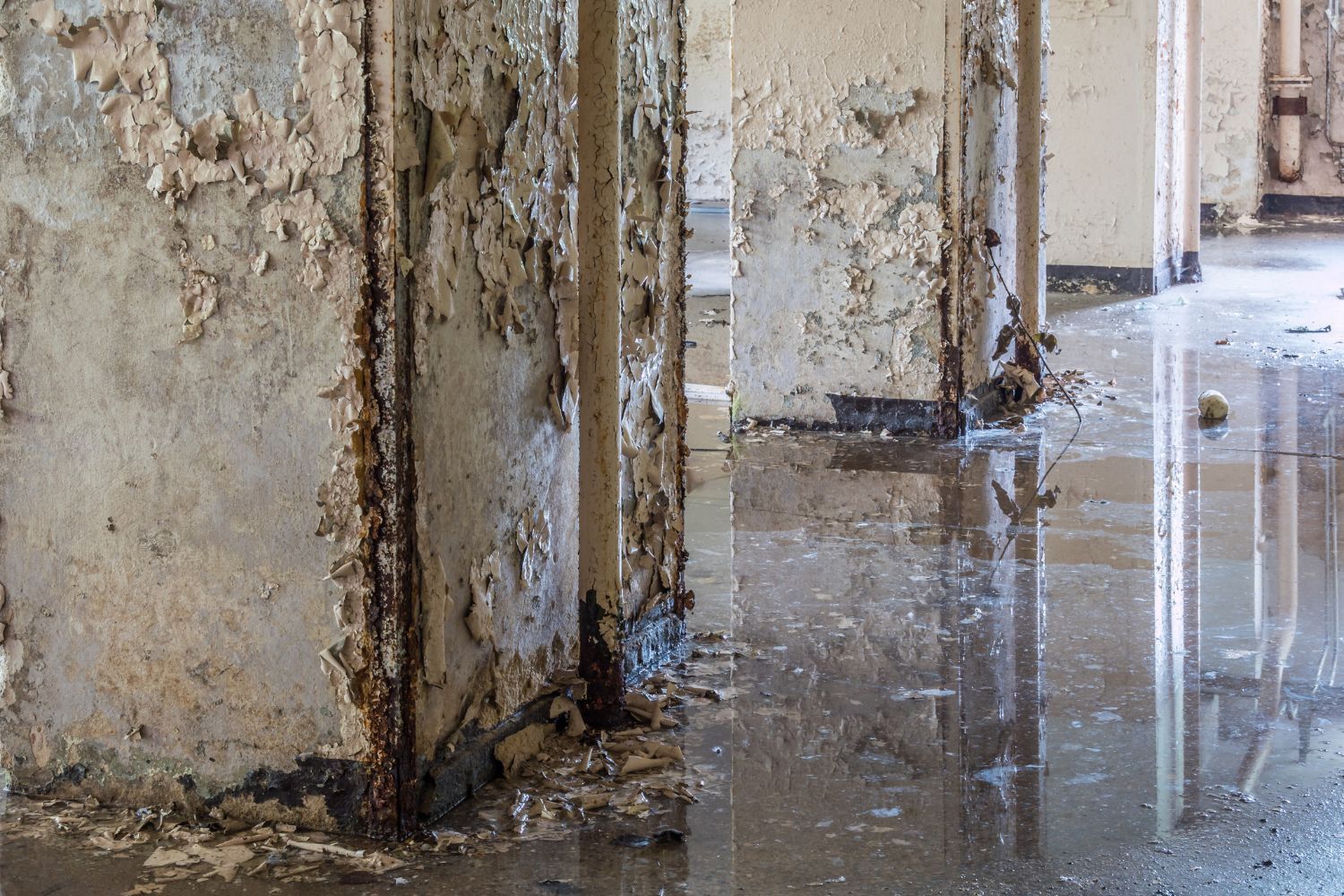 Tips for Choosing a Reputable Flood Damage Cleanup Company