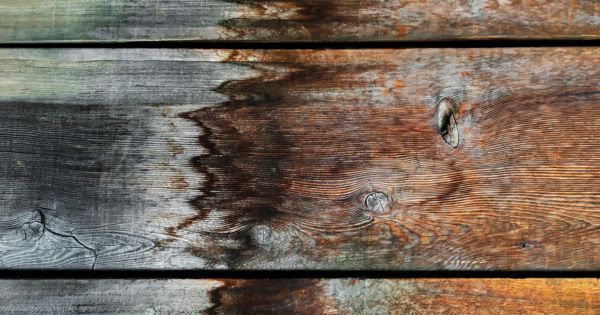 How to Fix Water Damaged Wood: Tips and Tricks