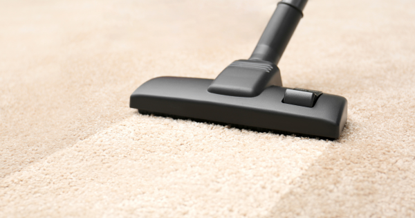 You Won’t Believe What’s Hiding in Your Carpets