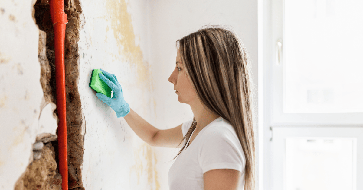 DIY vs Professional Water Damage Restoration: Which Is Better?