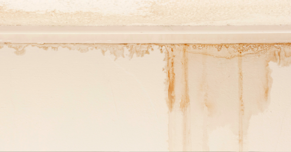 How to Tell if You Have Hidden Water Damage