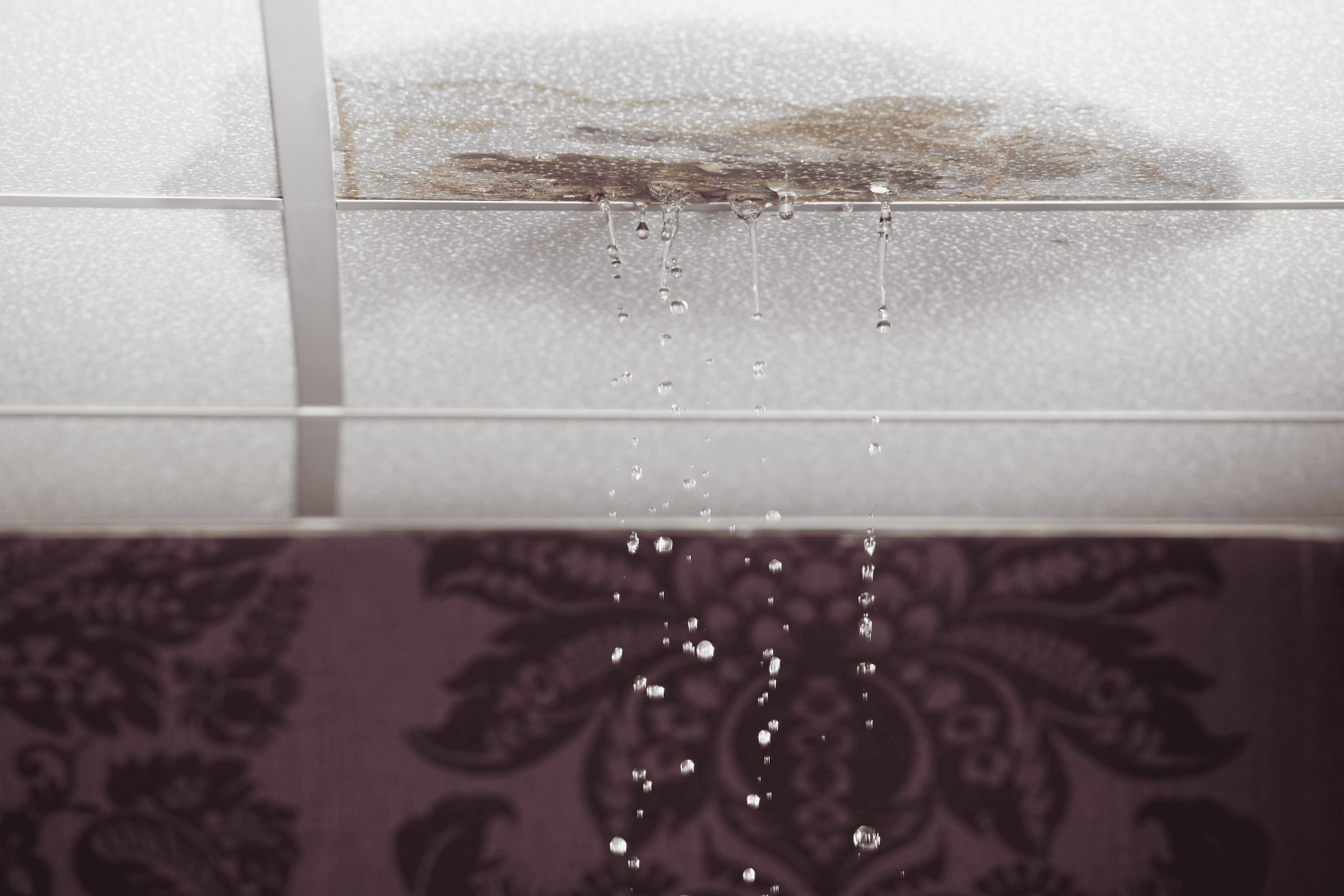 6 Tips to Determine How Long You’ve Had Water Damage