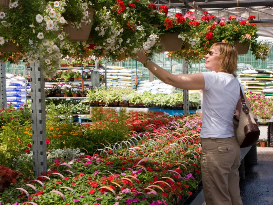 customer checking the white flowers