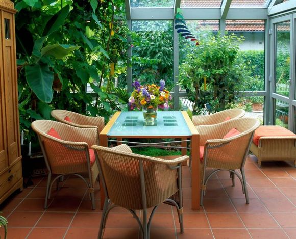 indoor and outdoor plants