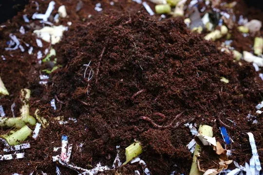 A pile of brown soil with a worm in it.