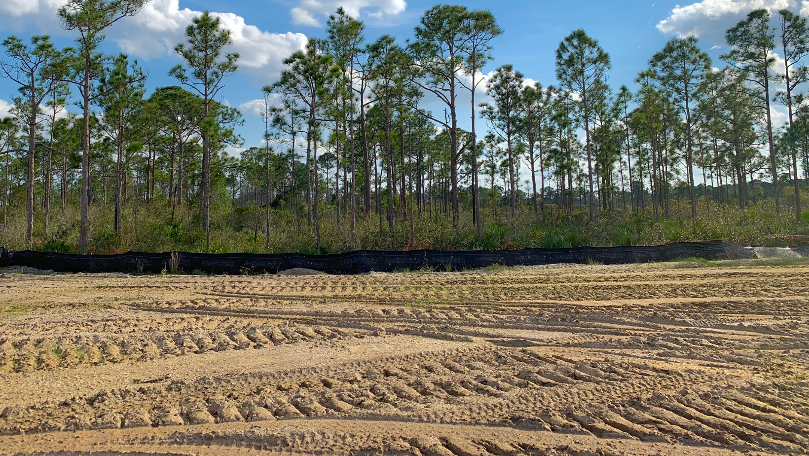 Land Clearing | Lake Helen, FL | 386-804-3798