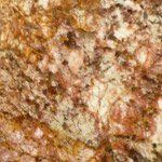 A close up of a pizza with a lot of toppings on it.