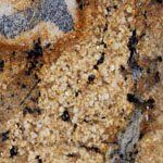 A close up of a piece of bread with a lot of crumbs on it.