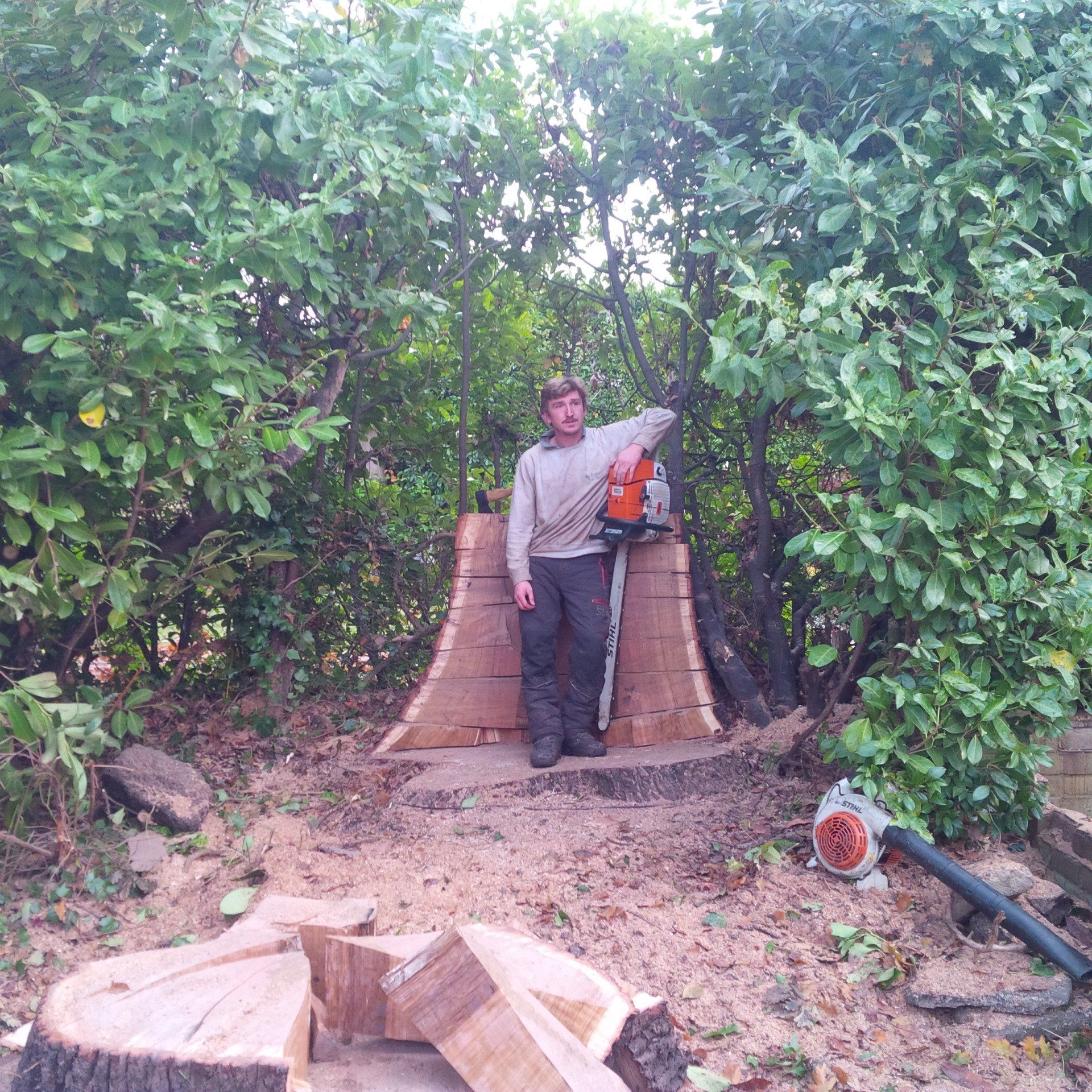 Tree surgeon at work