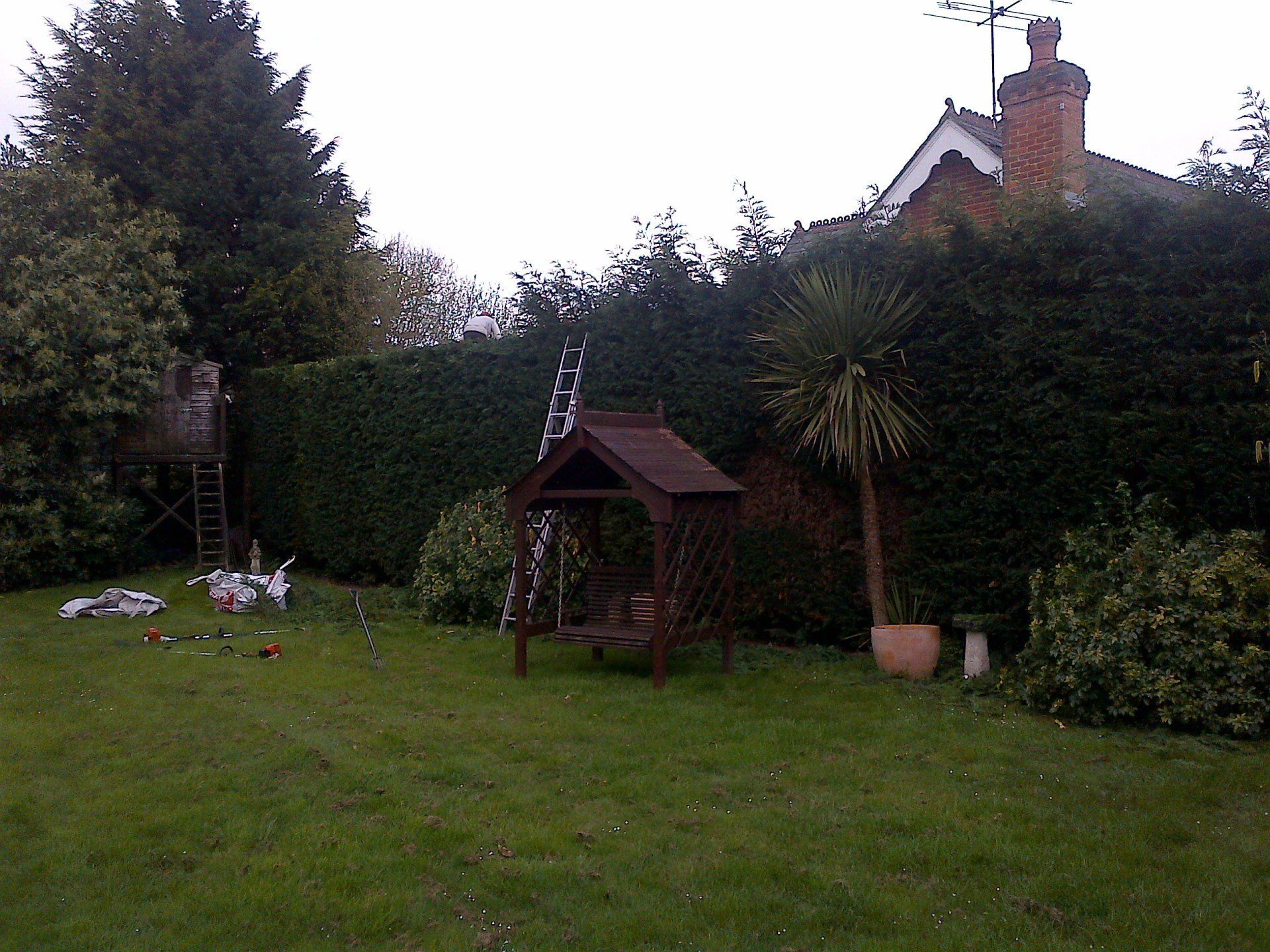 well-maintained garden