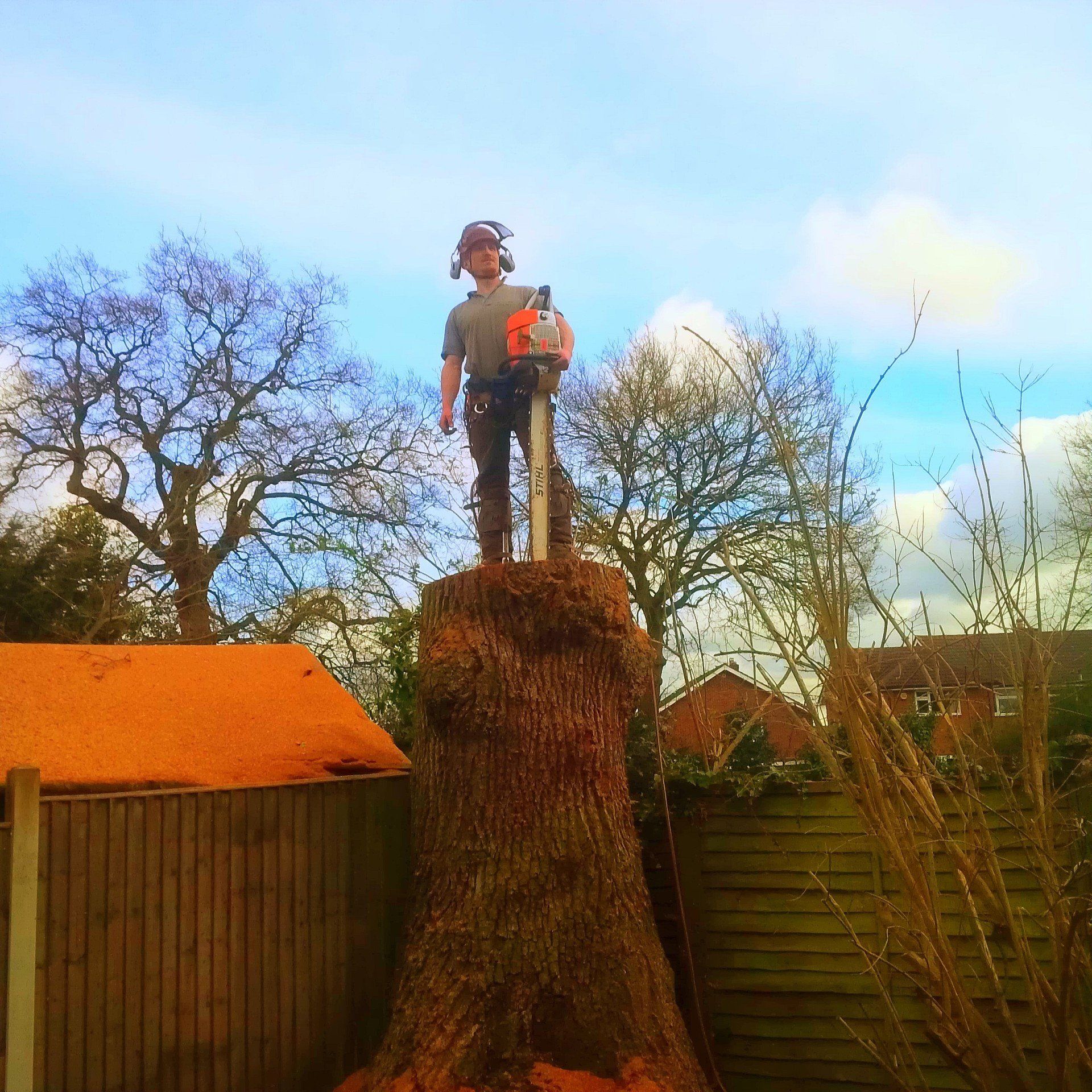 Tree surgeon standing on the tree