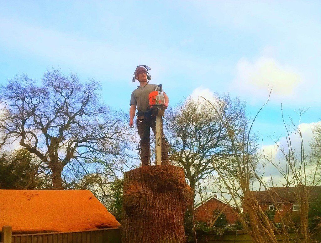 Tree surgeon