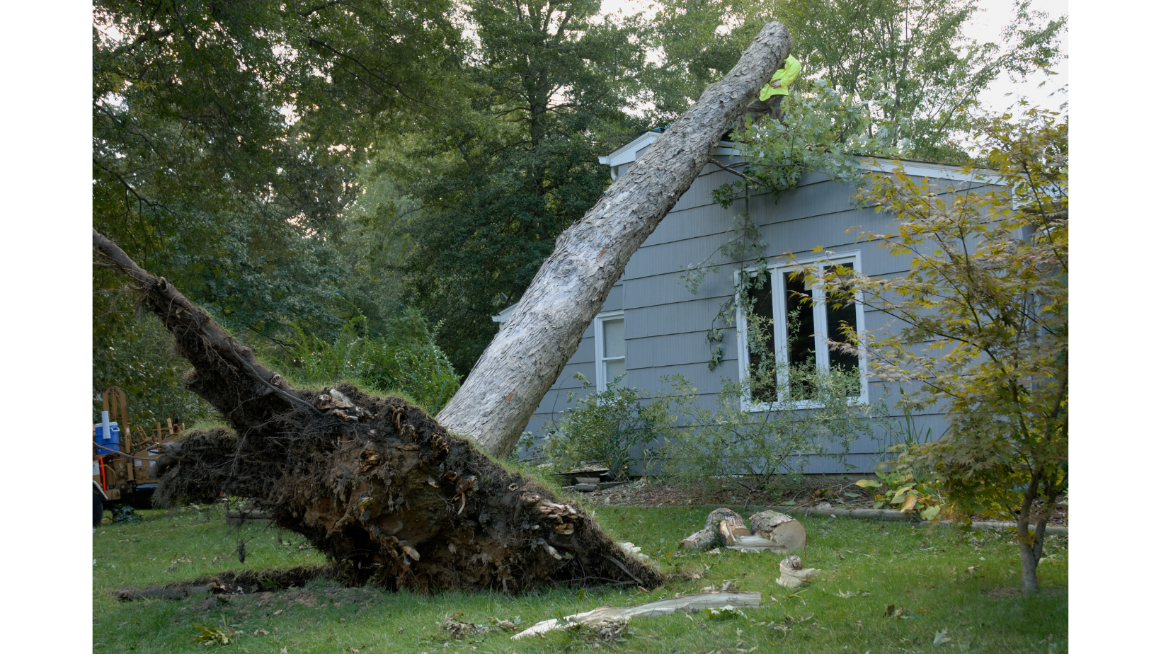 A picture of a tree that fell over onto a house causing damage to the roof in Slidell, LA