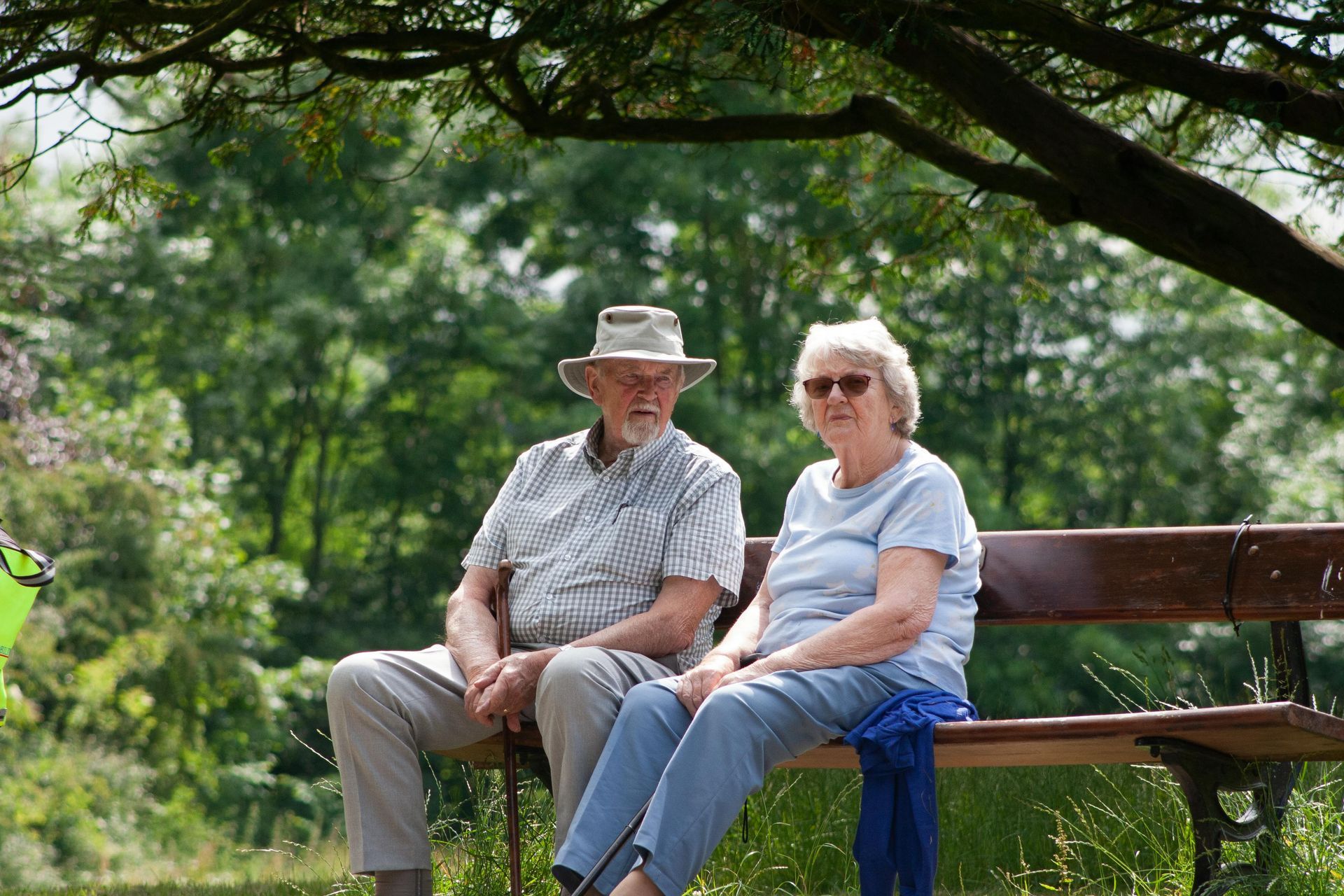 Elderly couple sits on park bench under a tree, enjoying the outdoors.