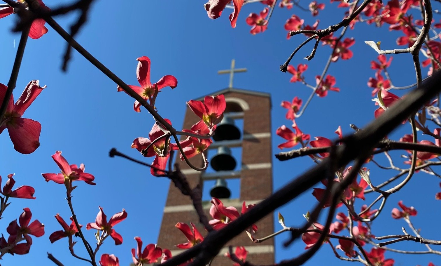 How Much Does A Director Of Religious Education Make