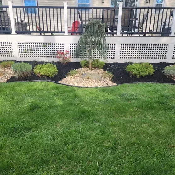 A lush green lawn with a fence and a deck in the background.
