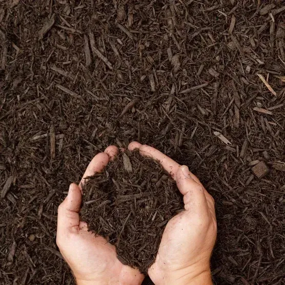 A person is holding a pile of brown mulch in their hands.